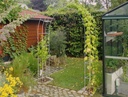 MLB Arche de jardin en acier brut 