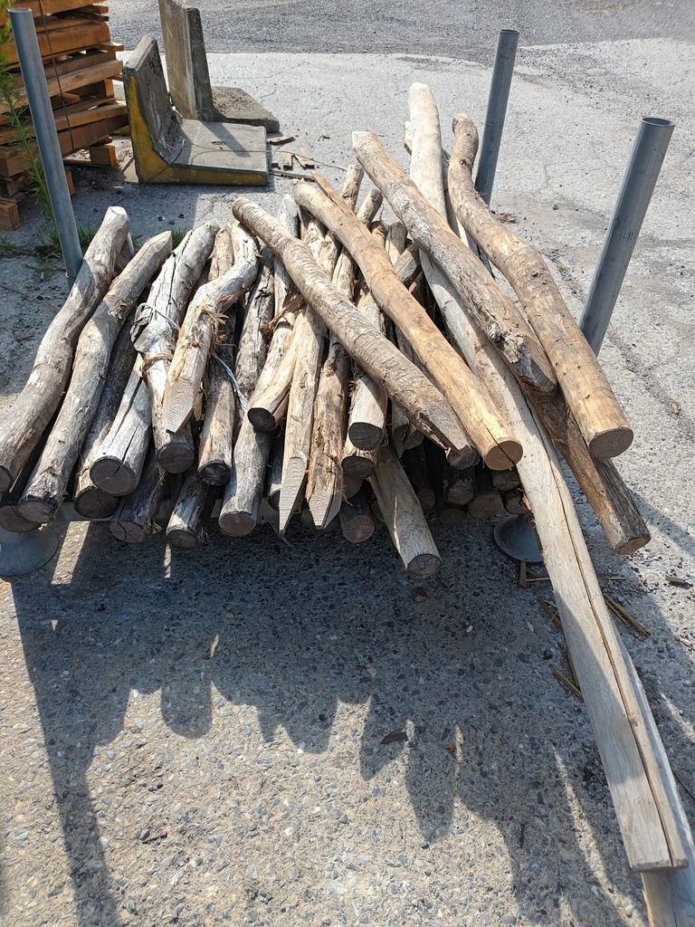 Piquets en robinier (faux-acacia) déclassés - Lot complet