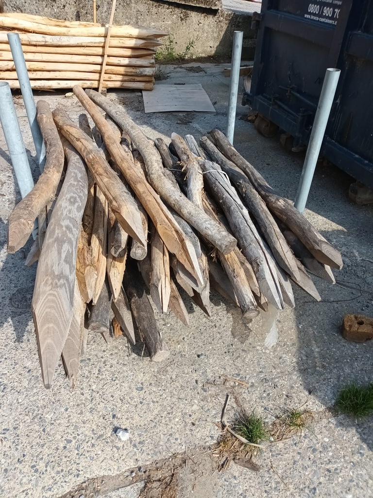 Piquets en robinier (faux-acacia) déclassés - Lot complet