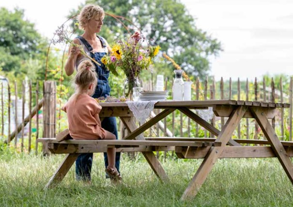 Table Pique nique Pine meal en kit - Collstrop