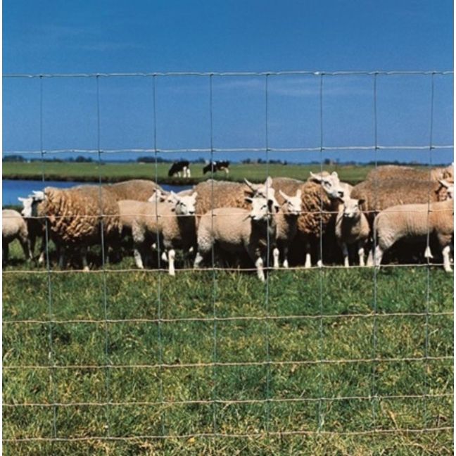 Ursus type léger Betafence - en rouleau