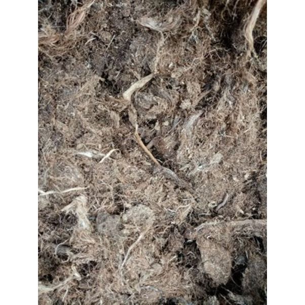 Tourbe blonde en fraction II                   