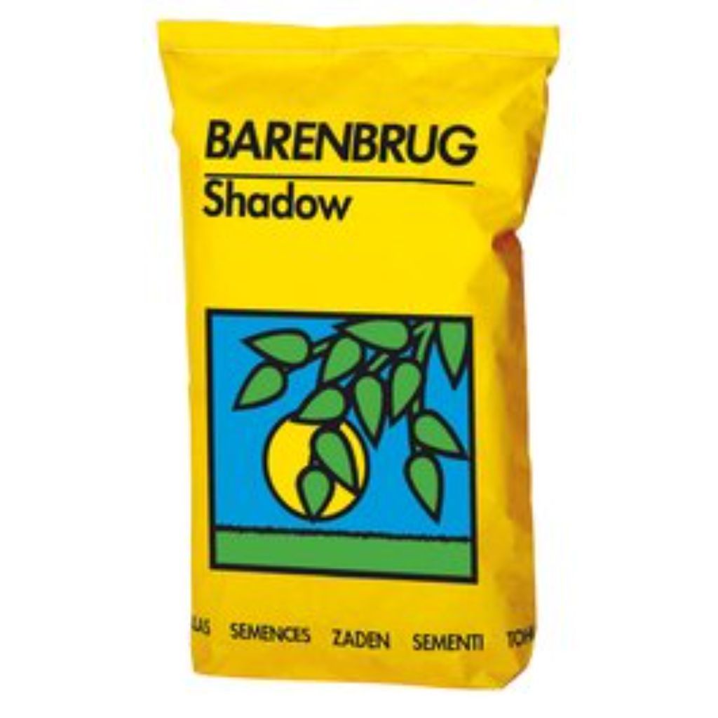 Semences Gazon Shadow 5KG - Barenbrug