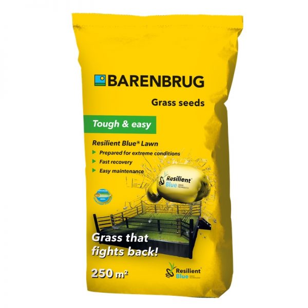 Semences Gazon Resilient Blue Lawn  - Barenbrug