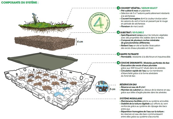 Hydropack Sedum – Bacs pré-cultivés et accessoires