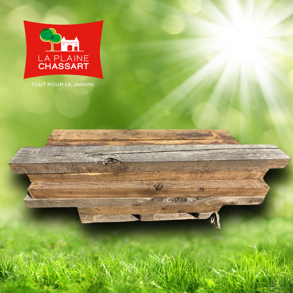 Bille neuve en chêne déclassée