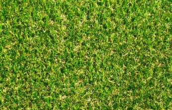 Gazon synthétique FUSION BRIGHT 32mm - Namgrass