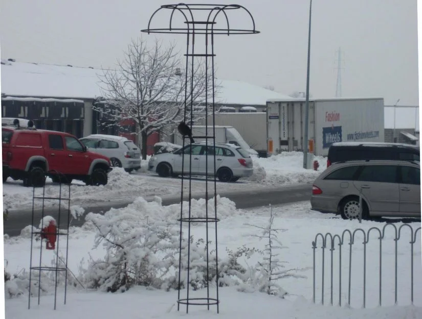 Tuteur colonne et parasol pour plantes grimpantes - acier brut