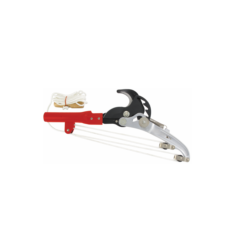Echenilloir pour perches - ARS