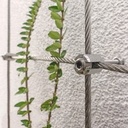 Support mural intermédiaire pour câbles inox 5mm ! (pour palissage)