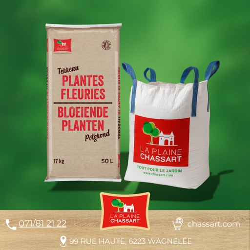 Terreau plantes fleuries