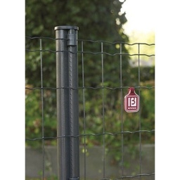 Pantanet Family Betafence - en rouleau ANTHRACITE