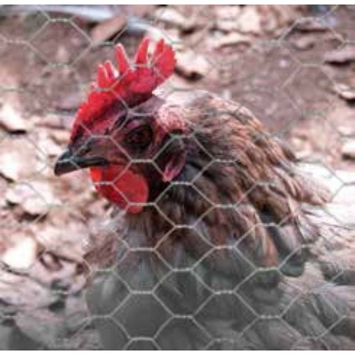 [LIQ-ARCAVIGAL40/100CM/50] Avigal Galvanisé Arcelor - en rouleau