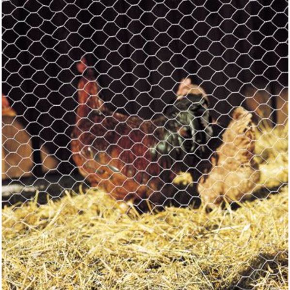 Hexanet Galvanisé Betafence - en rouleau