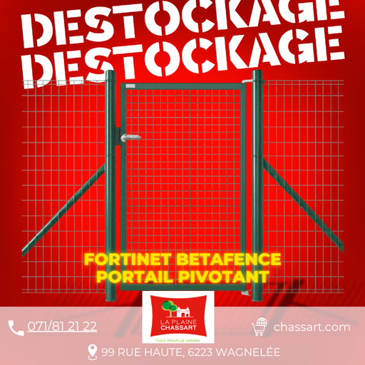 [BETAPORTFORTIN100/95] Fortinet  portail pivotant simple Betafence - VERT