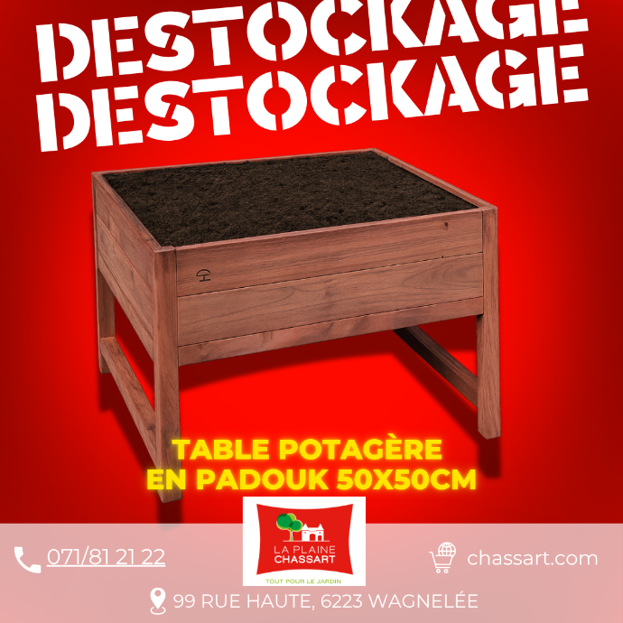 Table potagère en Padouk 50x50cm - Thomas