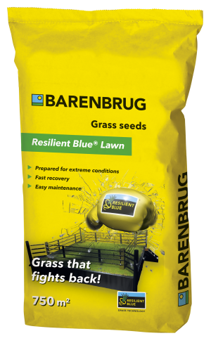 Semences Gazon Resilient Blue Lawn  - Barenbrug