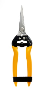 [RIGI 300 - ALPEN] Epinette - ALPEN