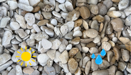 Graviers roulés Marne 5-15 mm