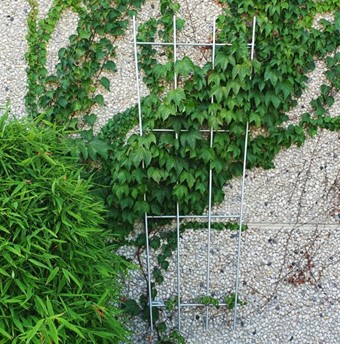 [MLBTREILLIS150x40–60 cm] Treillis mural pour plantes grimpantes - acier brut  