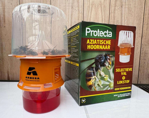 [KITPIEGEFRELONS] Piège à frelons asiatiques sélectif + 2 appats 50ml  - ARMOSA