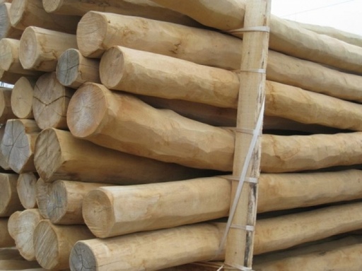 Poteaux poncés en robinier (faux acacia) d. 12/14 cm